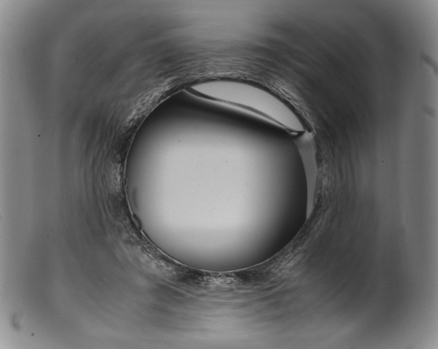 X0000099430401200805231658