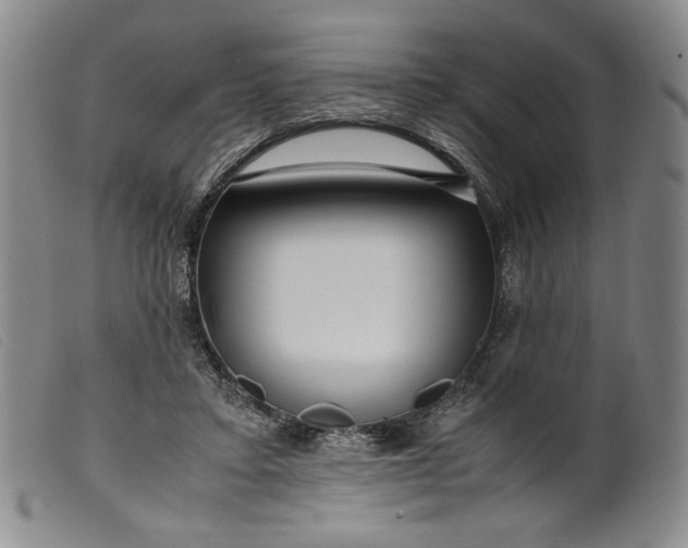 X0000099430403200805231658