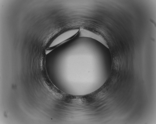X0000099430404200805231658