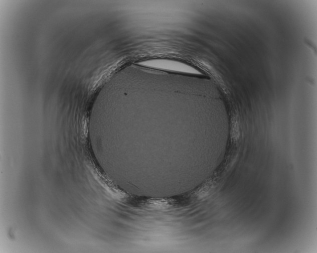 X0000099430405200805231658