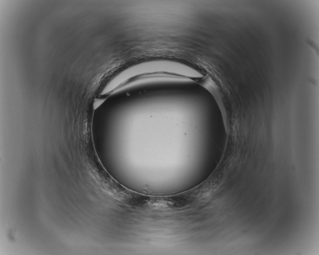 X0000099430407200805231658