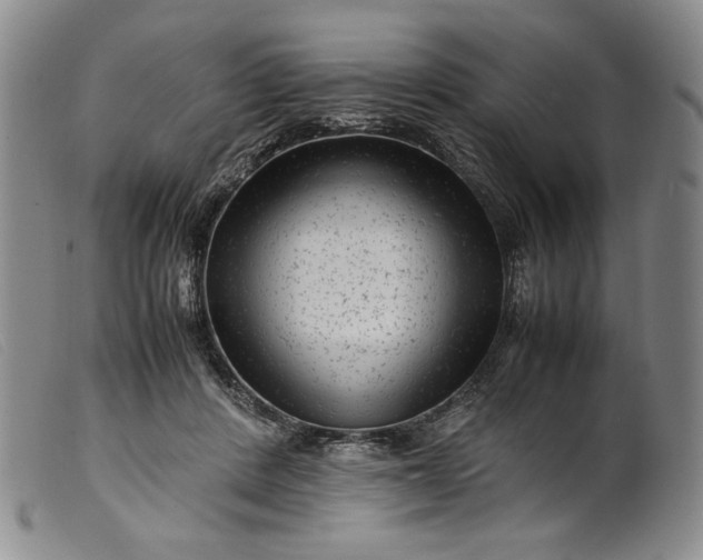 X0000099430408200805231658