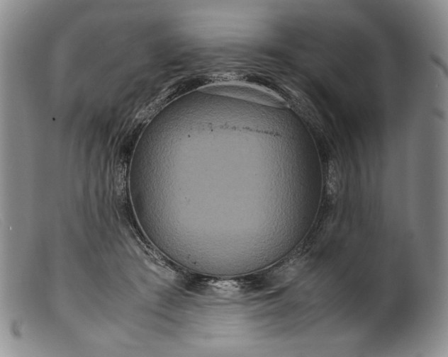 X0000099430409200805231658