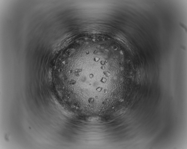 X0000099430410200805231658