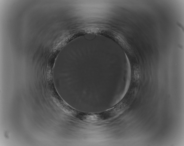 X0000099430411200805231658