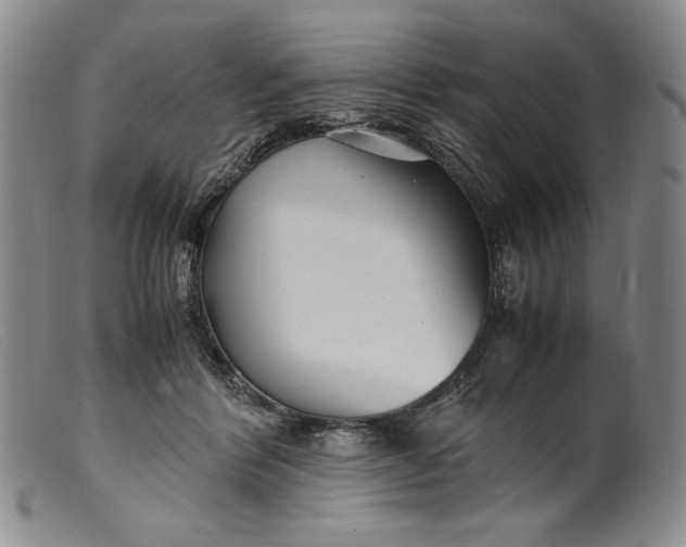 X0000099430412200805231658