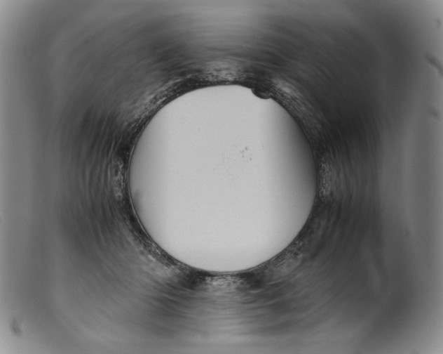 X0000099430414200805231658