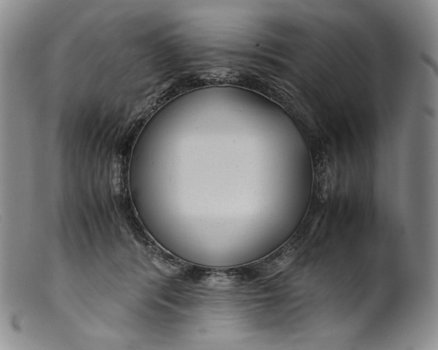 X0000099430416200805231658