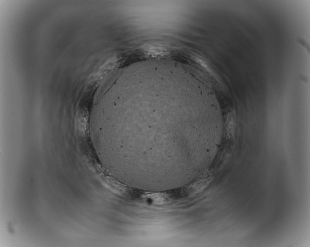 X0000099430417200805231658