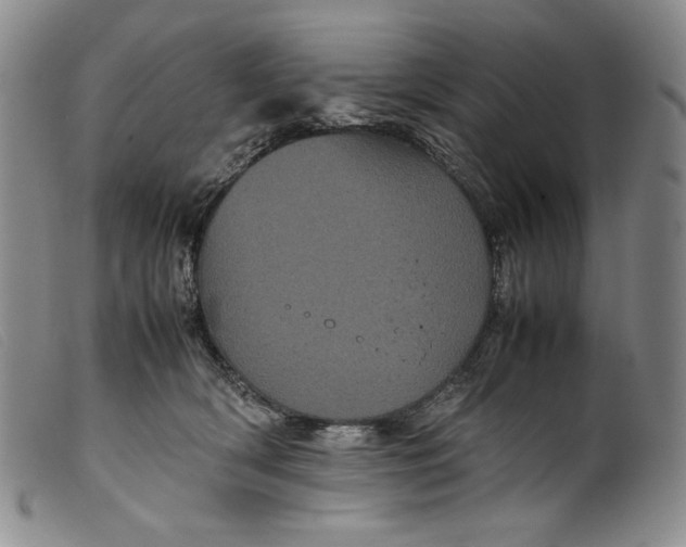 X0000099430418200805231658