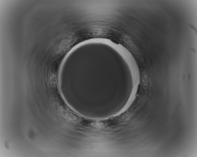 X0000099430419200805231658