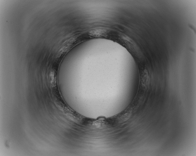 X0000099430420200805231658