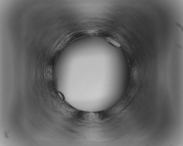 X0000099430421200805231658