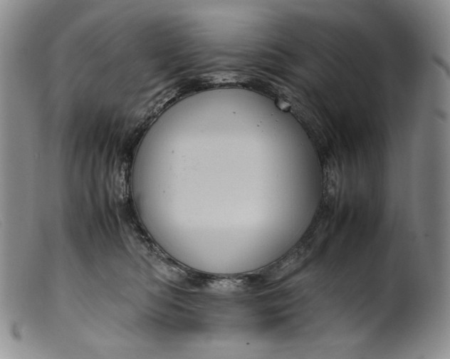 X0000099430422200805231658