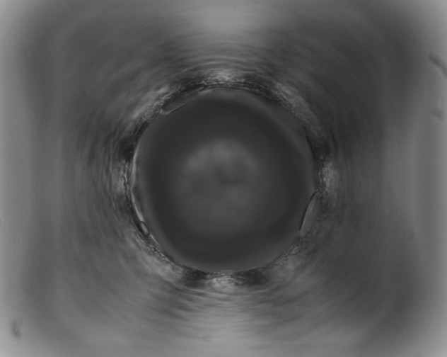 X0000099430423200805231658