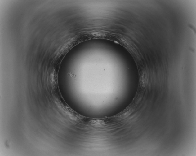X0000099430424200805231658