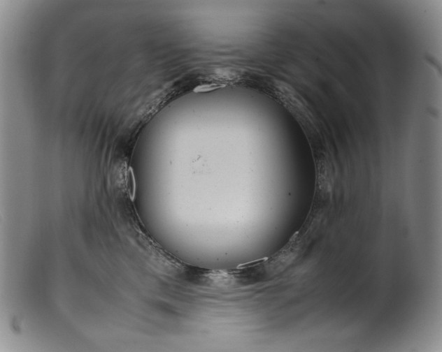 X0000099430425200805231658