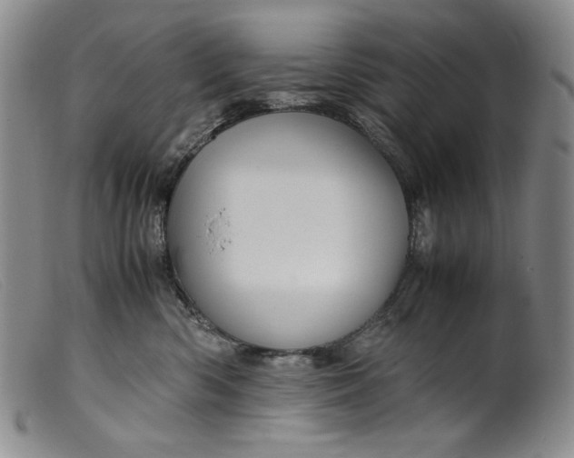 X0000099430426200805231658