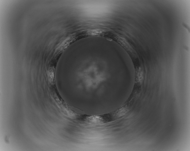 X0000099430427200805231658