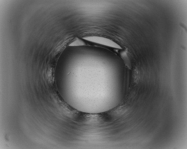 X0000099430428200805231658