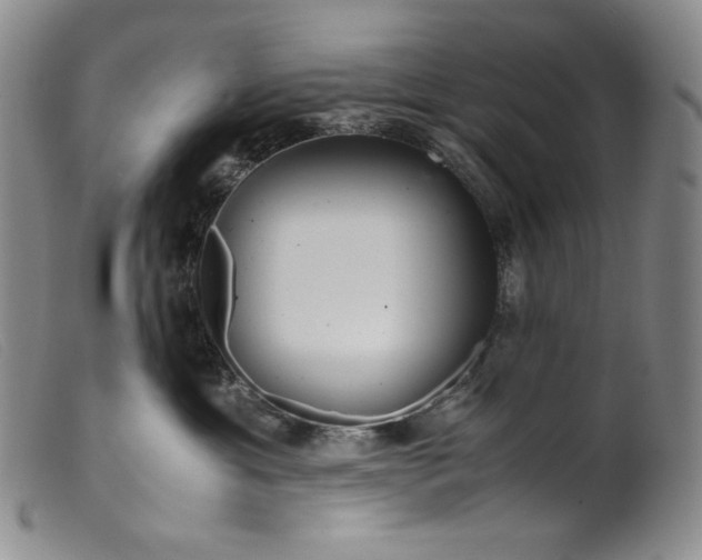 X0000099430429200805231657