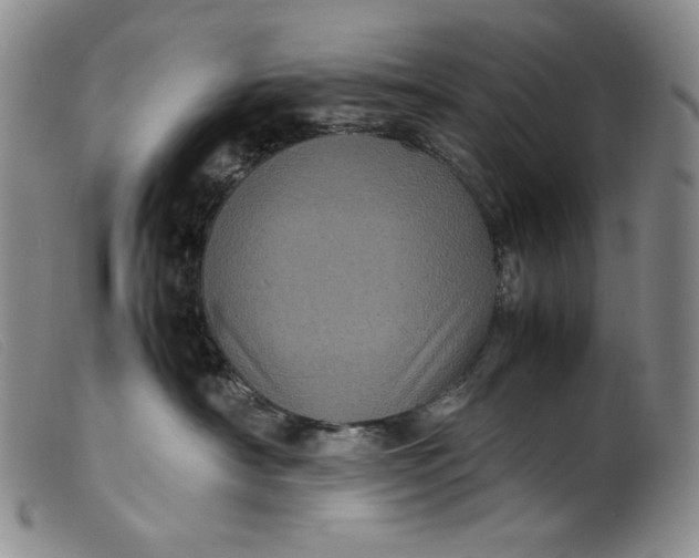 X0000099430430200805231657