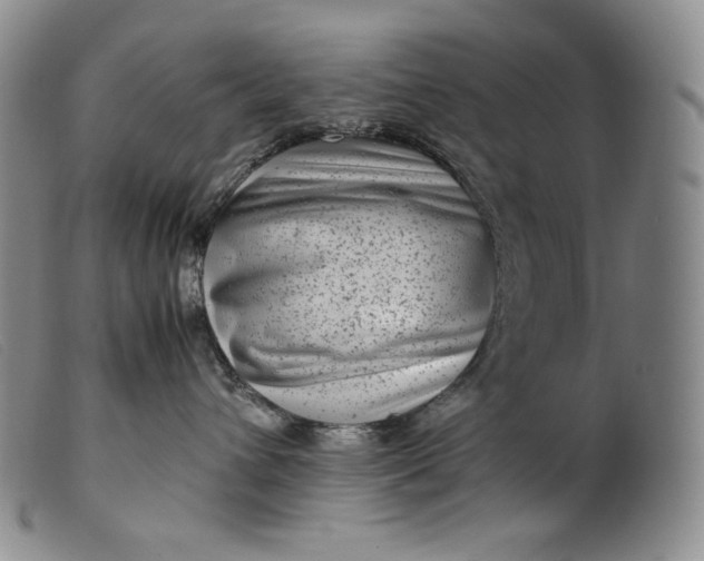 X0000099430432200805231657