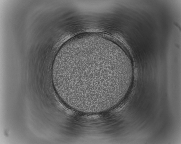 X0000099430433200805231657