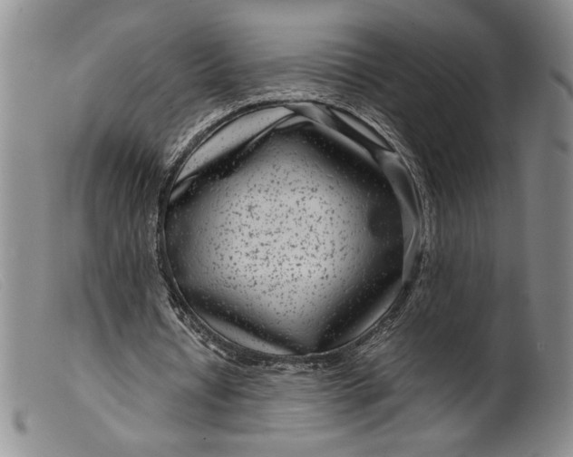 X0000099430434200805231657