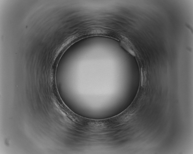 X0000099430435200805231657