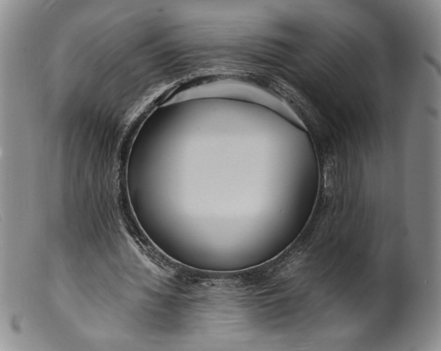 X0000099430436200805231657