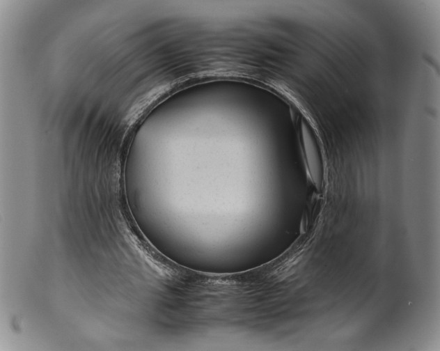 X0000099430437200805231657