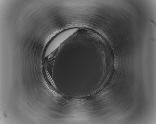 X0000099430438200805231657