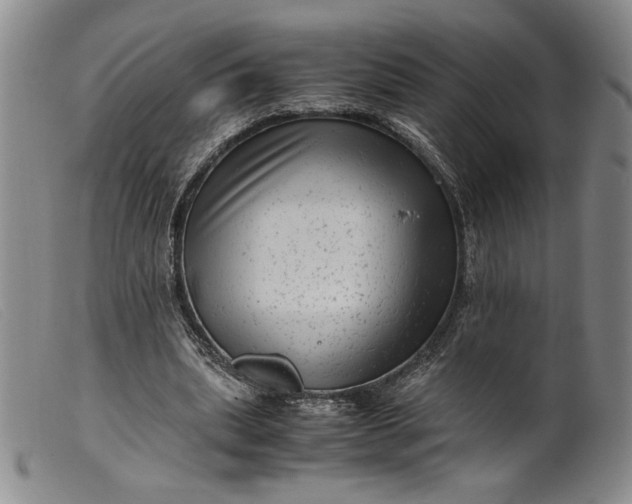 X0000099430439200805231657