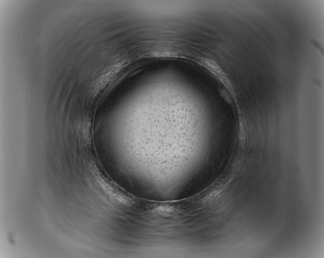 X0000099430441200805231657