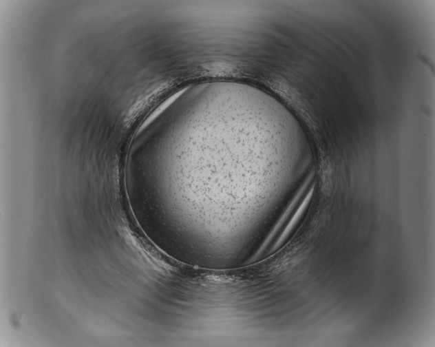 X0000099430442200805231657