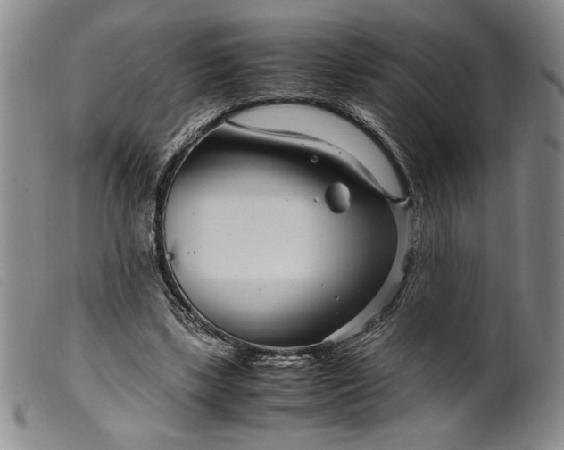 X0000099430443200805231657