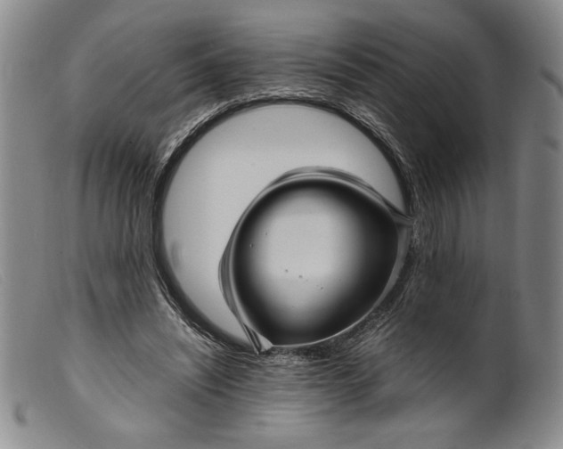 X0000099430444200805231657