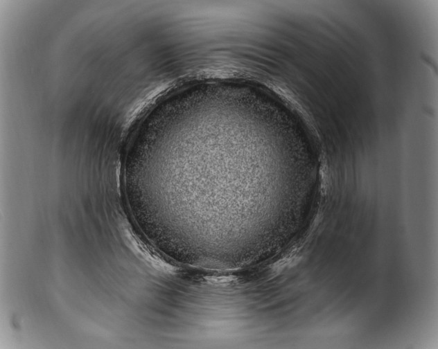 X0000099430446200805231657