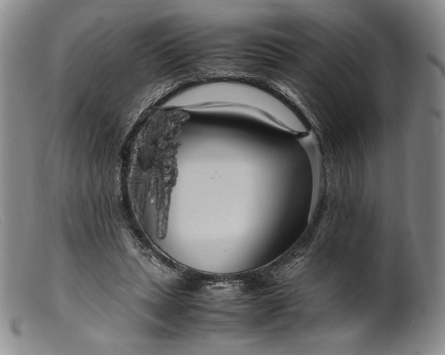 X0000099430447200805231657
