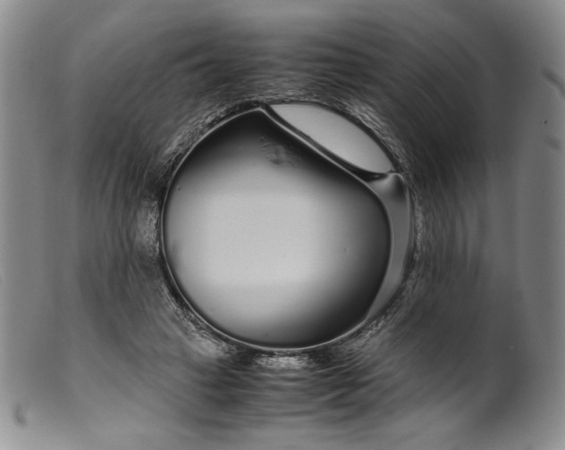 X0000099430449200805231657