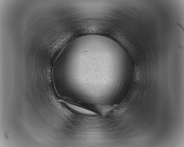 X0000099430450200805231657