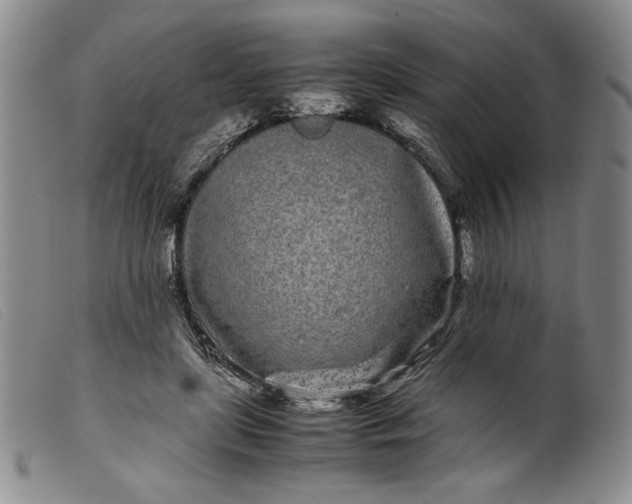 X0000099430451200805231657