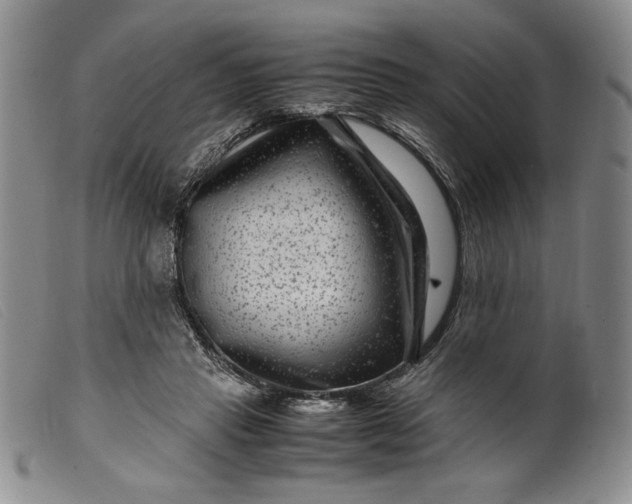 X0000099430453200805231657