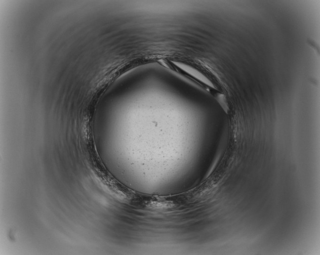 X0000099430455200805231657