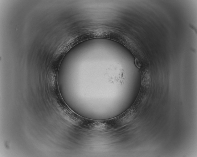 X0000099430456200805231657