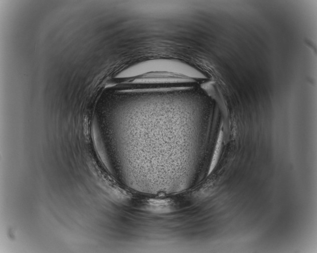 X0000099430457200805231657
