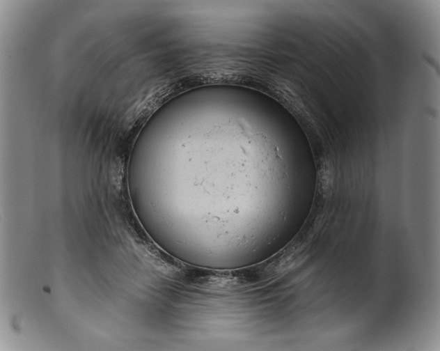 X0000099430458200805231657