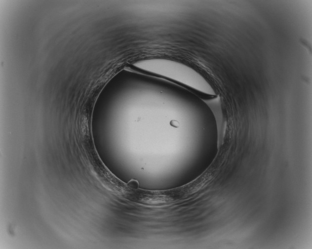 X0000099430459200805231657