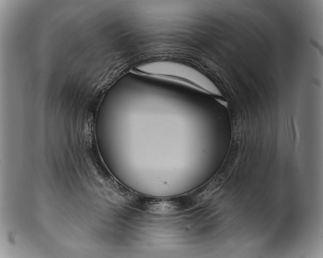 X0000099430460200805231657
